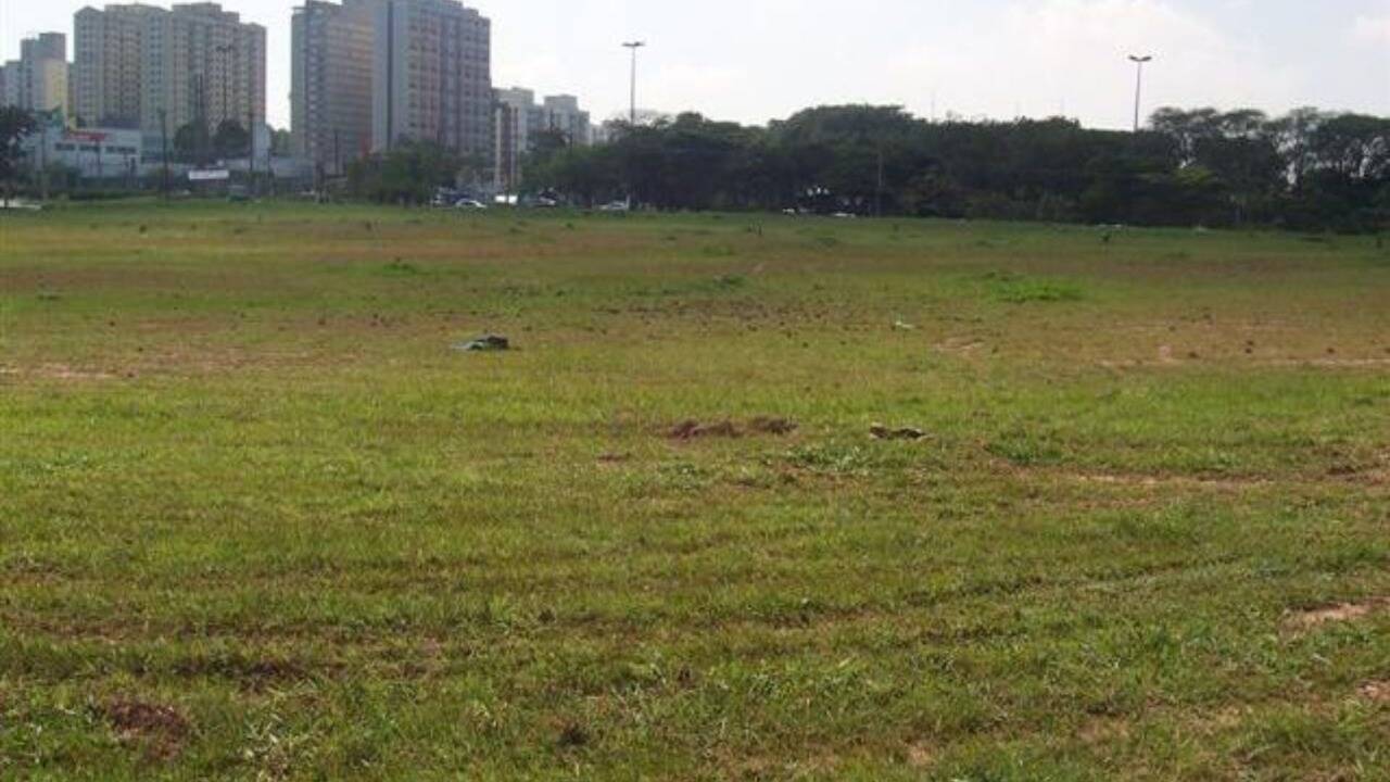 Terreno, 2 hectares - Foto 6