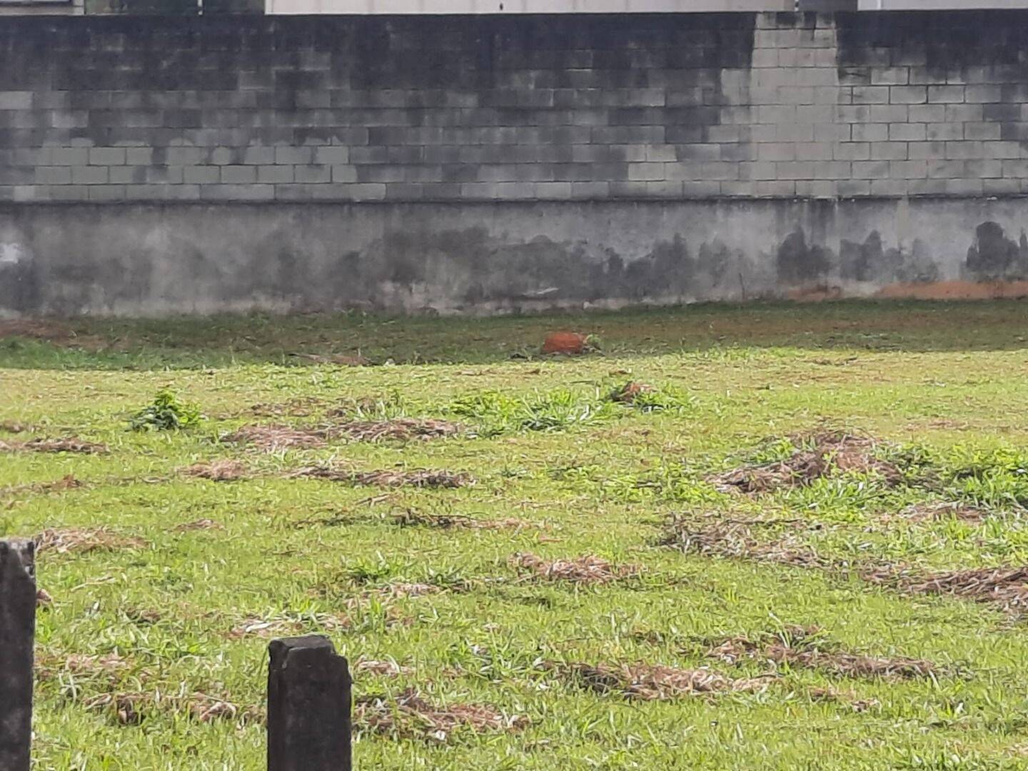 Terreno, 3300 m² - Foto 1