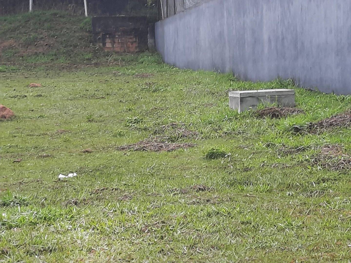 Terreno, 3300 m² - Foto 3
