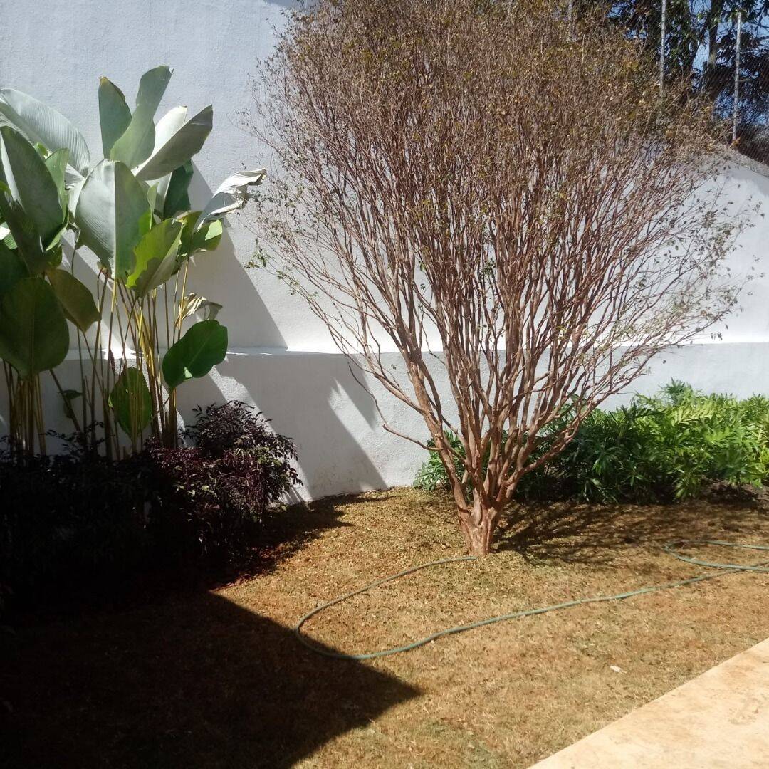 Casa à venda com 4 quartos, 620m² - Foto 4