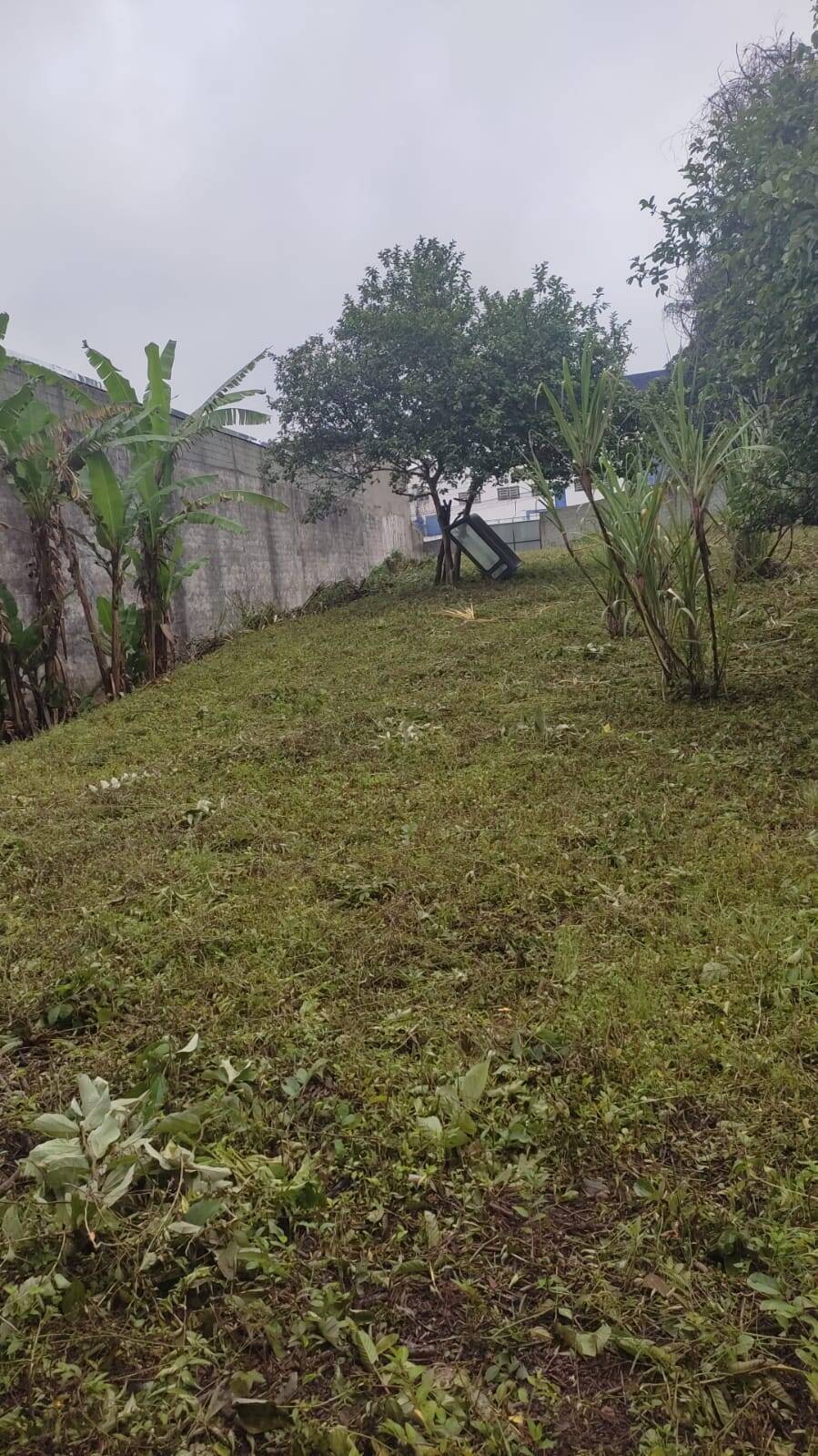 Terreno, 1418 m² - Foto 4