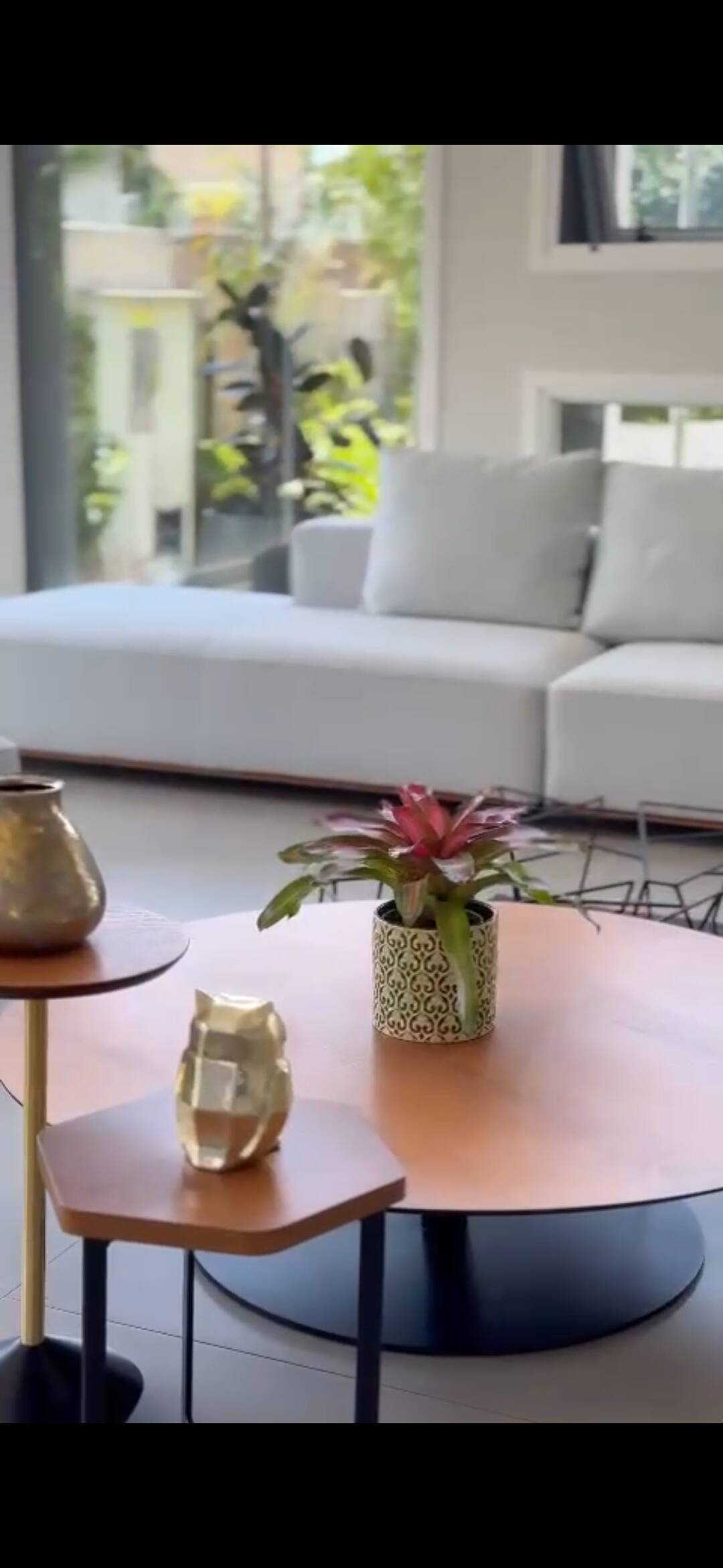 Casa, 4 quartos, 630 m² - Foto 13