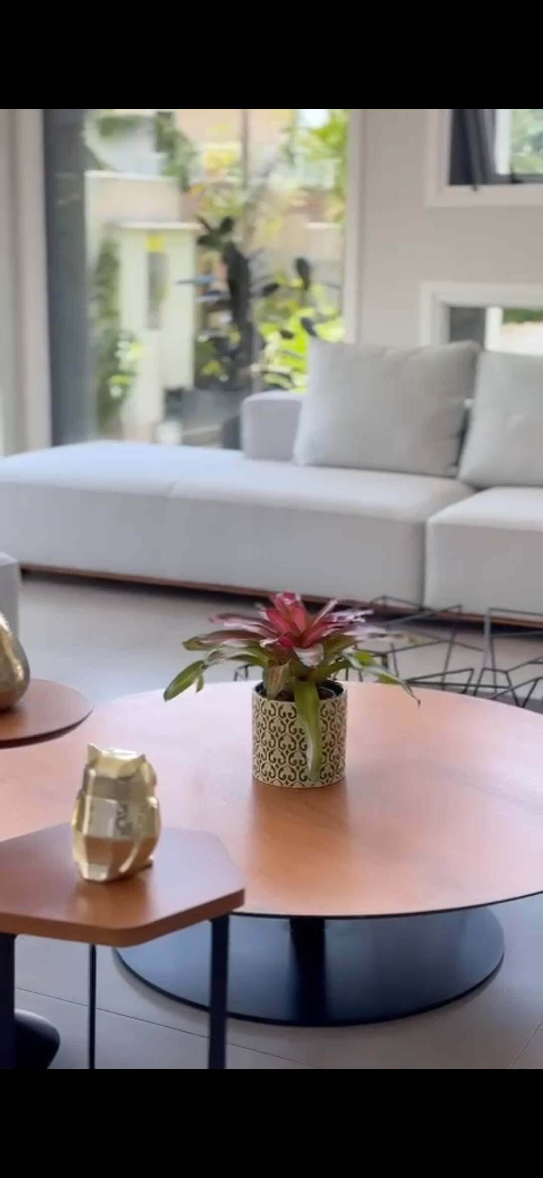 Casa, 4 quartos, 630 m² - Foto 18