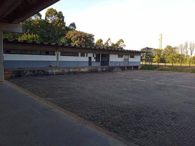 #110 - Galpão para Locação em Barueri - SP - 1
