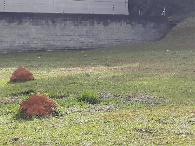 #216 - Terreno para Venda em Barueri - SP - 2