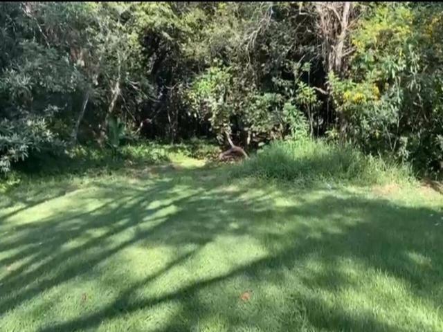 #217 - Terreno para Venda em Santana de Parnaíba - SP - 3