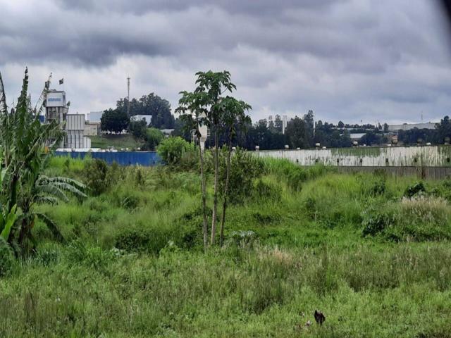 Locação em Jardim Belval - Barueri