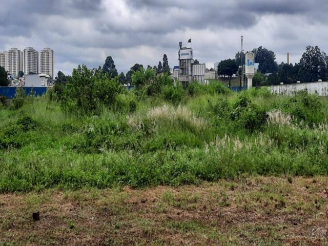 #225 - Área para Locação em Barueri - SP - 3