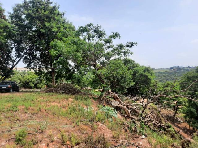 #359 - Área para Venda em Santana de Parnaíba - SP - 2