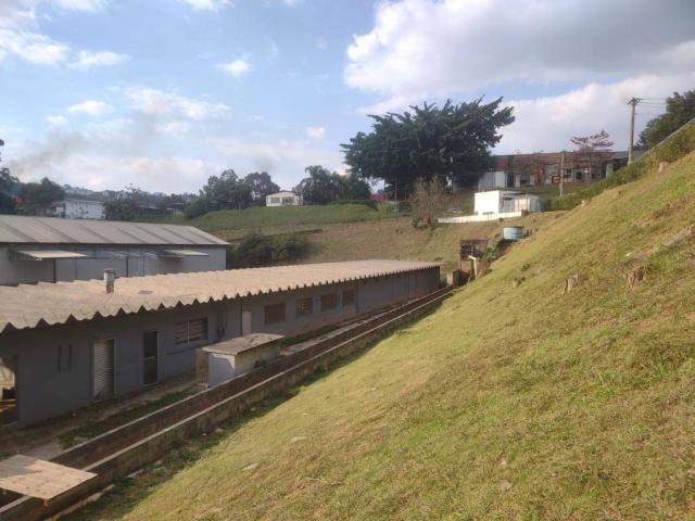 Galpão para Venda em Barueri - 4