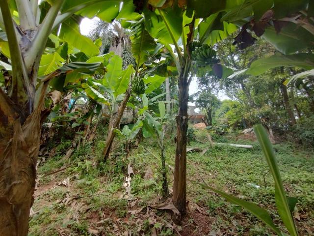 Área para Venda em Santana de Parnaíba - 5