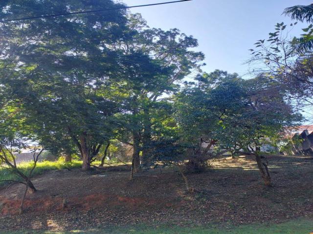 #464 - Área para Venda em Santana de Parnaíba - SP - 2